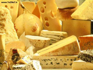 cheese-variety2