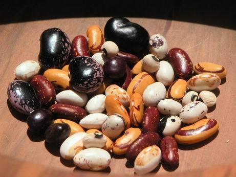 beans.jpg