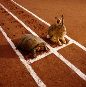 Slow and steady wins the race! Photo c/o redbrownandblue.com