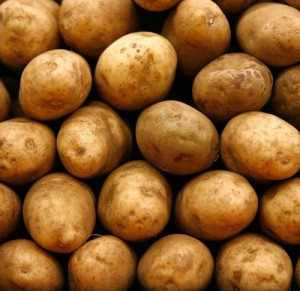 New Potatoes. Photo c/o about.com